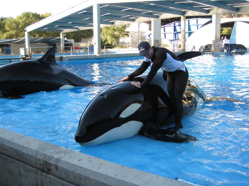 SW (21).JPG - Pet the nice big fishy!